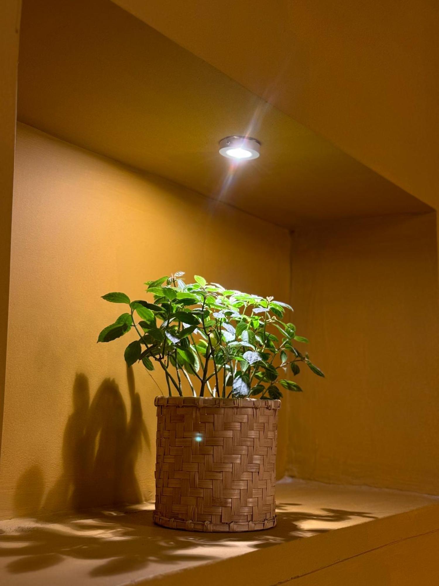 Apartamento The Melo Pomelo Courtyard. Katmandú Exterior foto